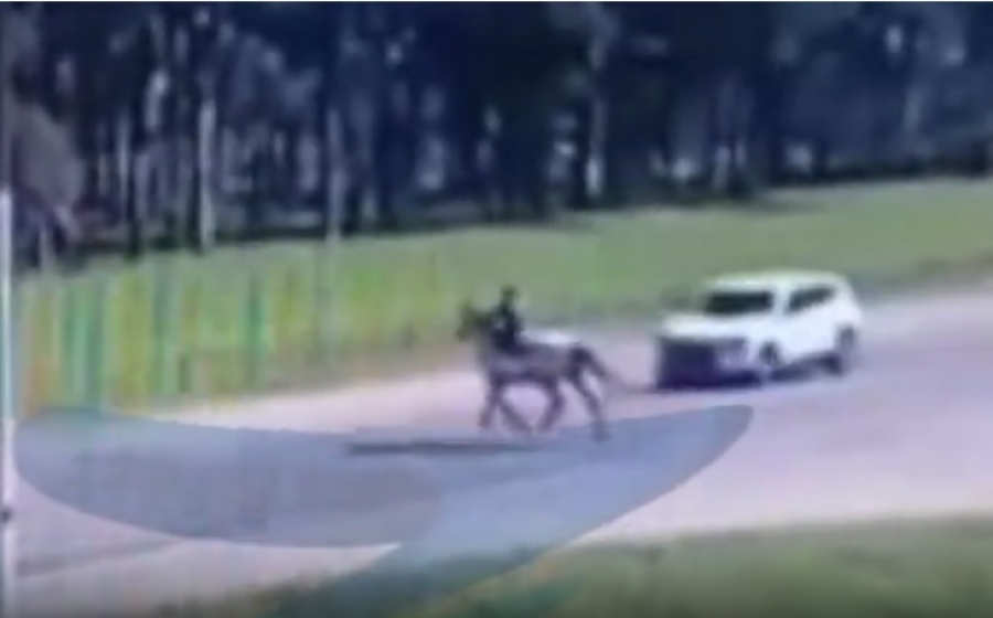 VIDEO: UN NIÑO FUE ATROPELLADO POR UN AUTO MIENTRAS MONTABA A CABALLO