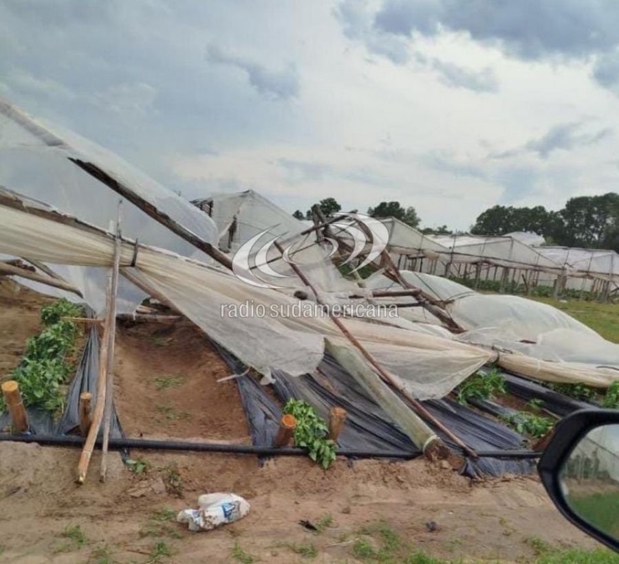 CÓMO AFECTÓ EL TEMPORAL A LA PRODUCCIÓN EN EL INTERIOR DE CORRIENTES